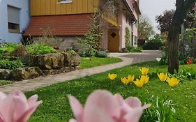 Ferienwohnung Wiesenhof